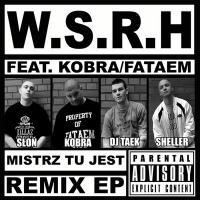 Mistrz Tu Jest Remix EP (Ft. Kobra/Fataem)